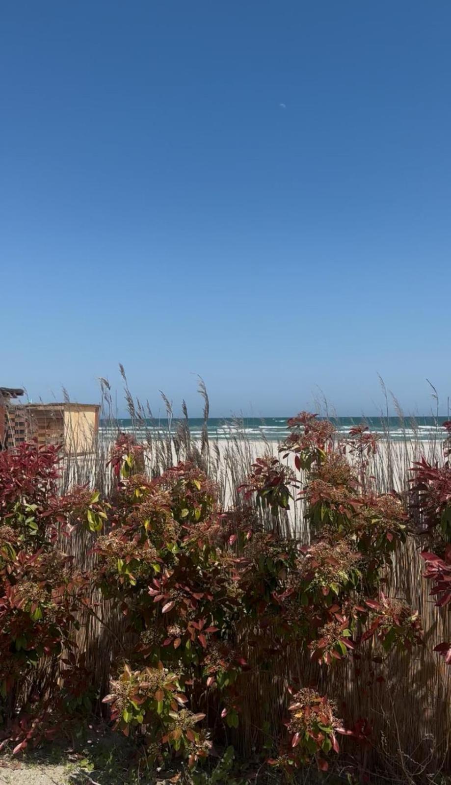 Sea View Luxury Apartament Navodari Luaran gambar